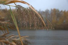 Image00002.jpg