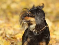 IMD_9528-w.webp