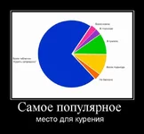 131.webp