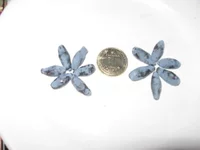  жимолость 06_640x480.webp