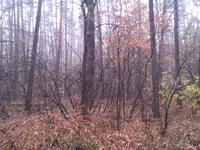 IMAG2030.webp