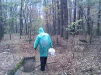 IMAG2033.webp