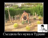 .webp