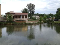 17.webp