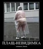 .webp