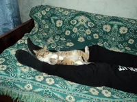 DSC01413.webp