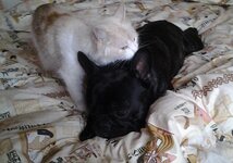 20131026_160054-1.jpg