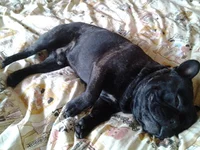 20131026_155118.webp