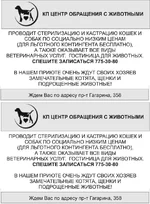  и приют А5.webp