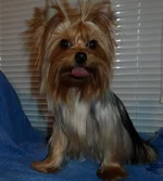 SAM_0199.webp