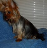 SAM_0204.jpg