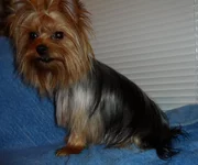 SAM_0205.webp