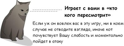 cat_04.jpg