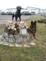 Copy of Изображение 031.webp