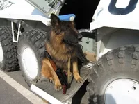 Copy of Copy of IMG_0042.webp