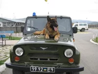 Copy of IMG_0030.webp