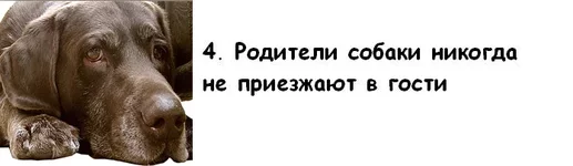 004.webp
