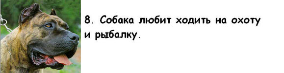 008.jpg