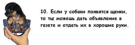 010.jpg