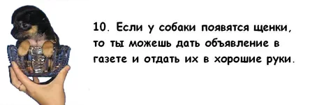 010.webp