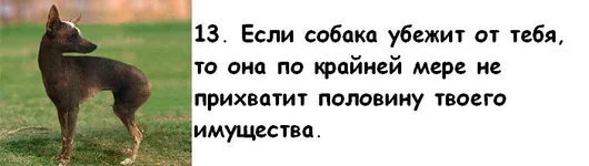 013.webp