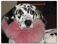  бусами 02.09.07_001.webp