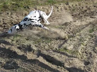 Masyanya 004 re.webp