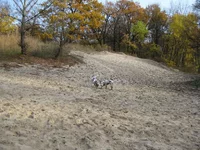 Masyanya 017 re.webp