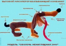 99752971832d.jpg