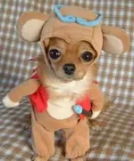 1181227040_18.webp