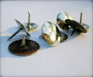 macro_3.webp