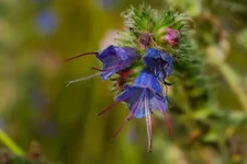 DSC_9666.webp