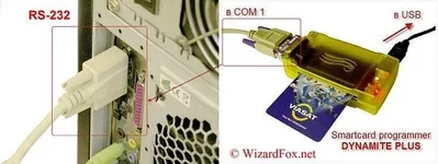 Dynamite +Plus.webp