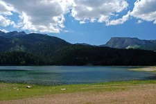 DSC_0295_resize.webp