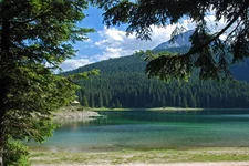 DSC_0310_resize.webp