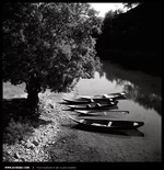 006-montenegro.webp 006-montenegro.webp