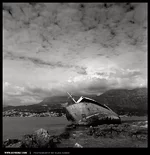 008-montenegro.webp 008-montenegro.webp