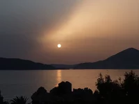 P9061461.webp
