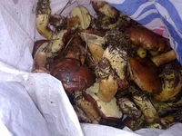 27102013049.jpg