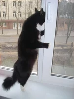  133.webp