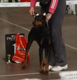 03.webp