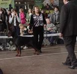 033.webp