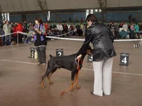 037.webp