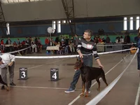 063.webp