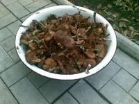 26102013(002).webp