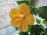 ramdisk_crop_42478196_tIEj.webp