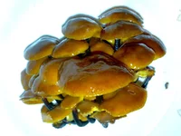 281020132940.webp