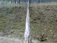28102013690.webp