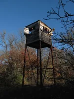 05.JPG