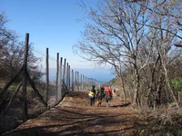 06.JPG